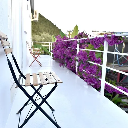 Siesta Hotel *