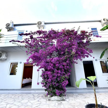 Hotel Siesta Dhermi